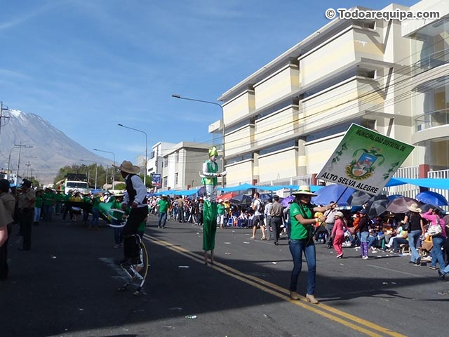 Municipalidad Distrital de Alto Selva Alegre