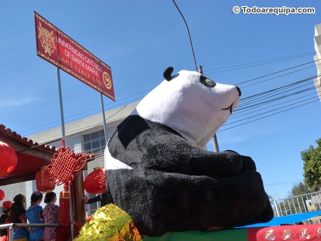 Oso panda