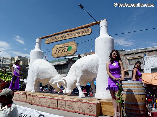 Modelos de Majes Tradición