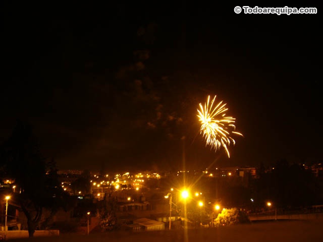 P1050767