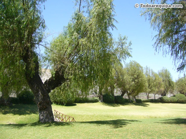 Paisaje en Sabandía