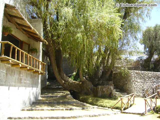 sabandia-mill