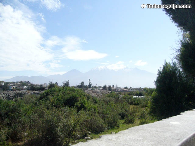 P1050494