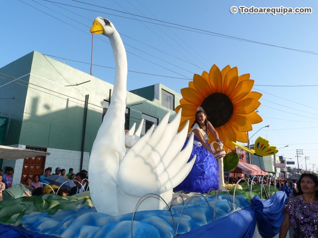Cisne blanco carro alegórico