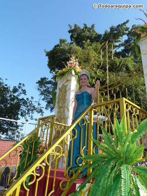 Nuria Dongo Señorita Camana 2011