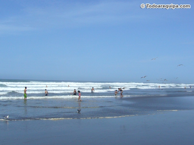 playas-lapunta-camana