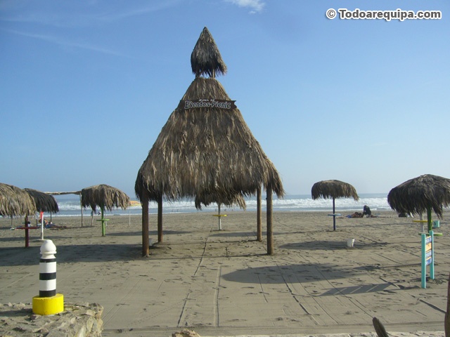 playa-tortugas-camana-peru