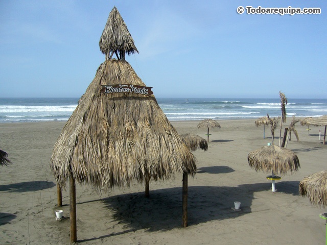 playas-tortugas-camana