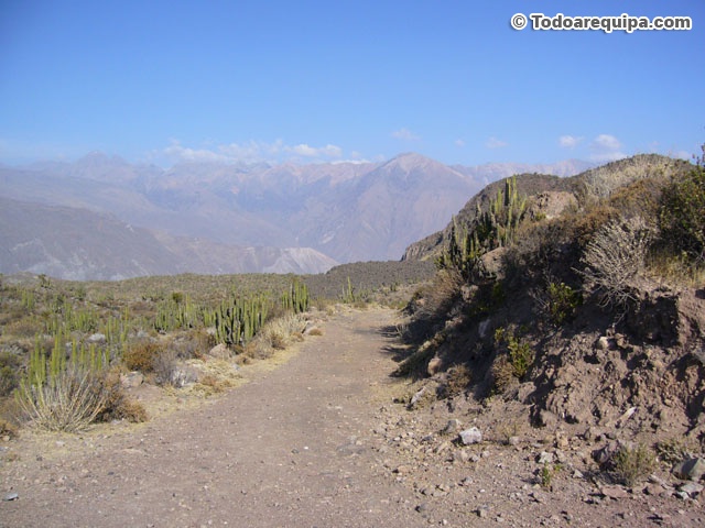 entrada-hacia-valle-volcanes