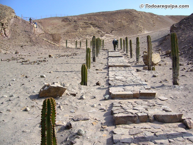Graderías hacia las huellas