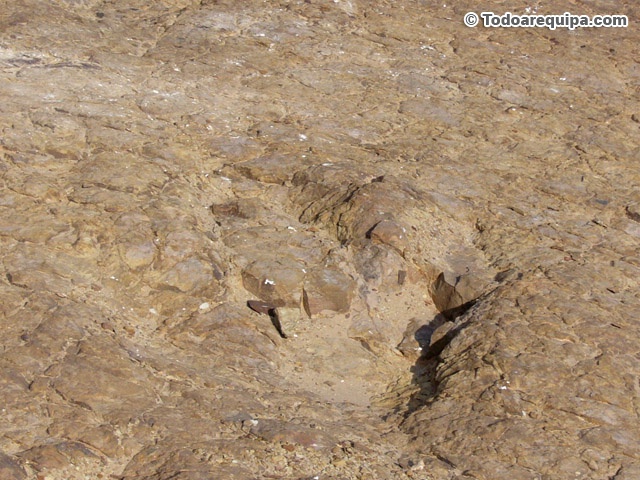 hundimiento-pisada-dinosaurio