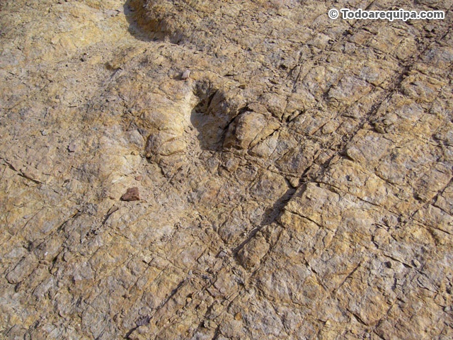 Pisada de dinosaurio