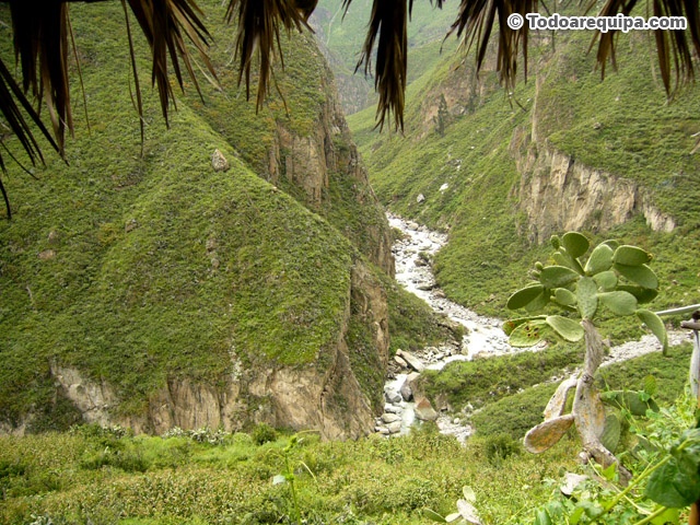 vista-de-paisajes-naturales-rumbo-a-huaruro