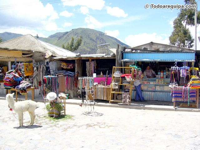 market-maca