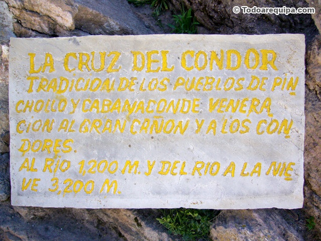 P1250356