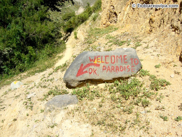 Welcome to Paradise