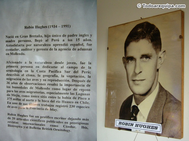Robin Hughes