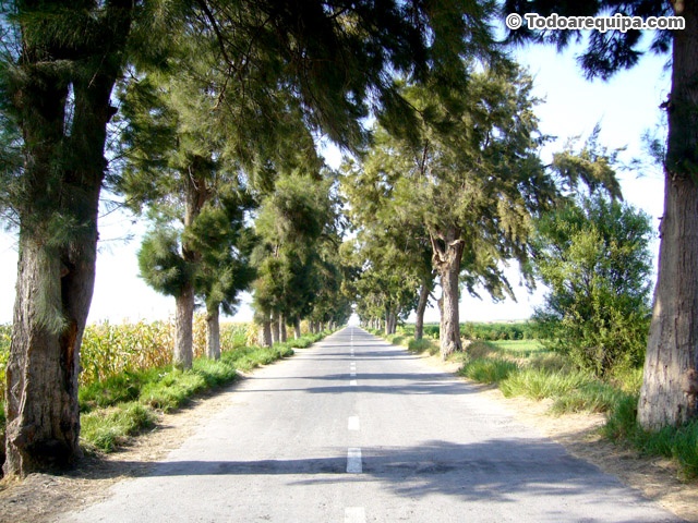 Camino hacia las playas