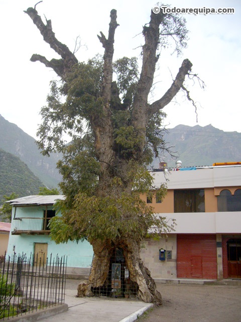 P1430120