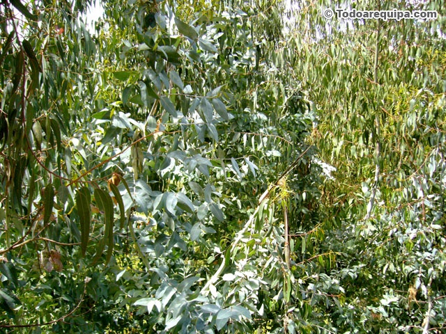 P1430400