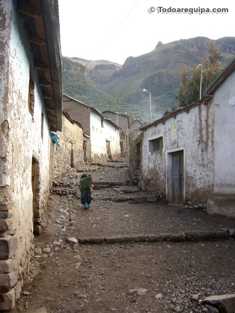 P1430161