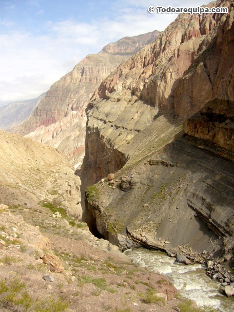 P1420859