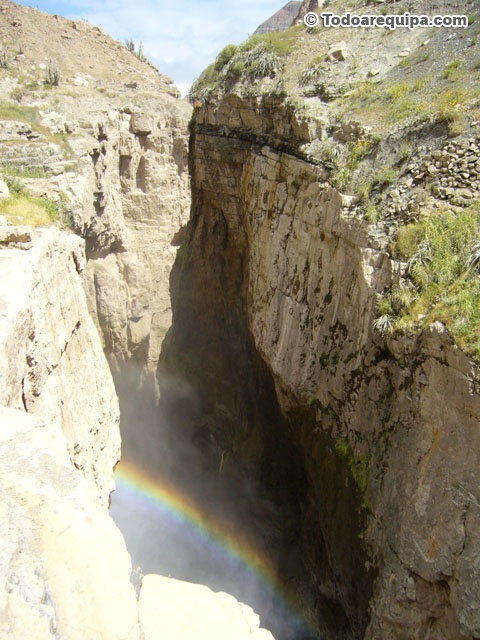 P1420981
