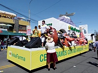 Carro alegórico - InkaFarma