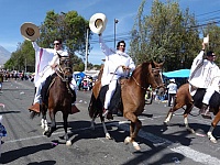 Caballos de paso