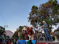 Carro alegórico del Colegio Faraday