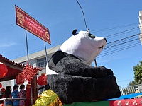 Oso panda