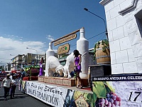 Majes Tradición Vinos y Piscos