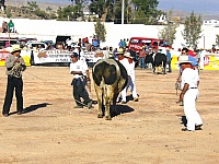 P1060733