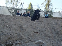 P1060737