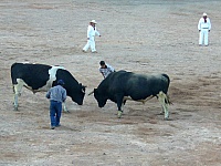 P1060795