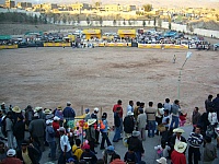 publico-peleas-toros