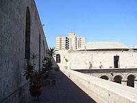 P1040239