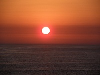 P1010519