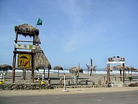 las-tortugas-decamana