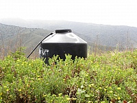 P4031356