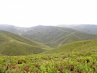 P4031359