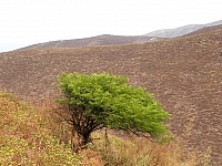 P4031377