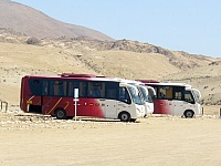 buses-turismo