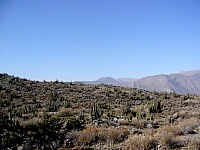 P1110503