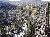 P1110506