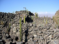 P1110507