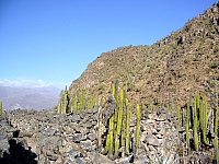 P1110510