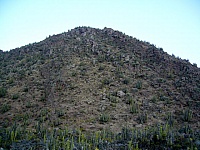 P1110605