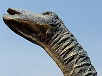 cabeza-dinosaurio-castilla