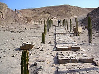 Graderías hacia las huellas